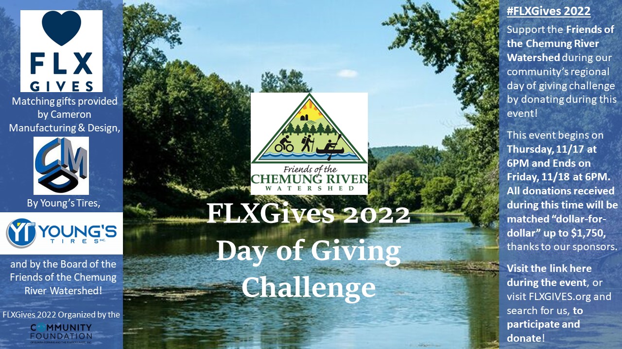 FLX Gives 2022
